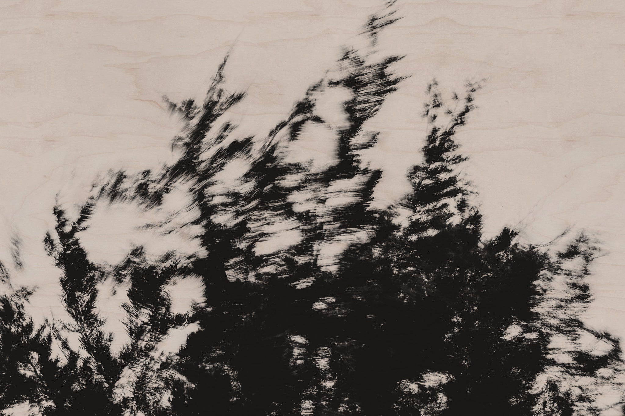 Pulse and Impression, 2022-01-15-0870
