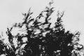 Pulse and Impression, 2022-01-15-0870