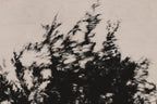Pulse and Impression, 2022-01-15-0870