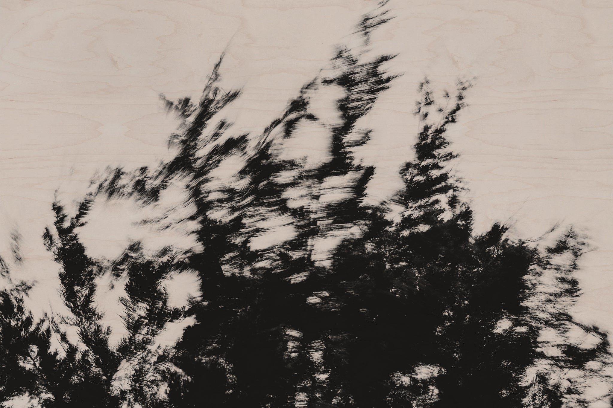 Pulse and Impression, 2022-01-15-0870
