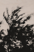 Pulse and Impression, 2022-01-15-0876