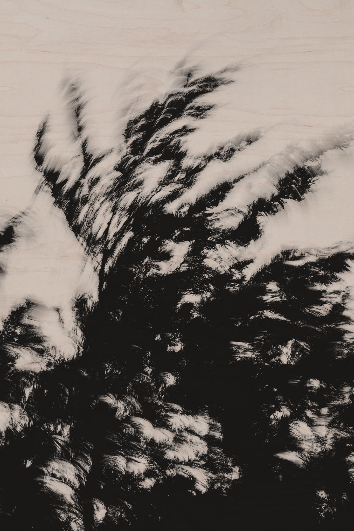 Pulse and Impression, 2022-01-15-0876