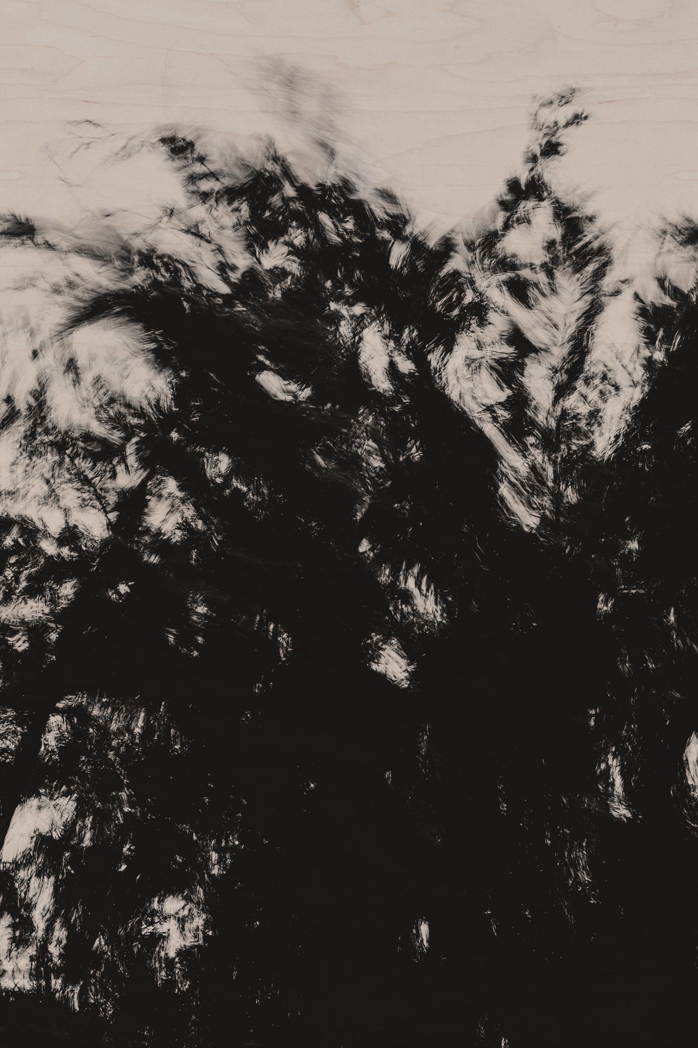 Pulse and Impression, 2022-01-15-0879