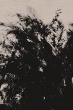 Pulse and Impression, 2022-01-15-0879