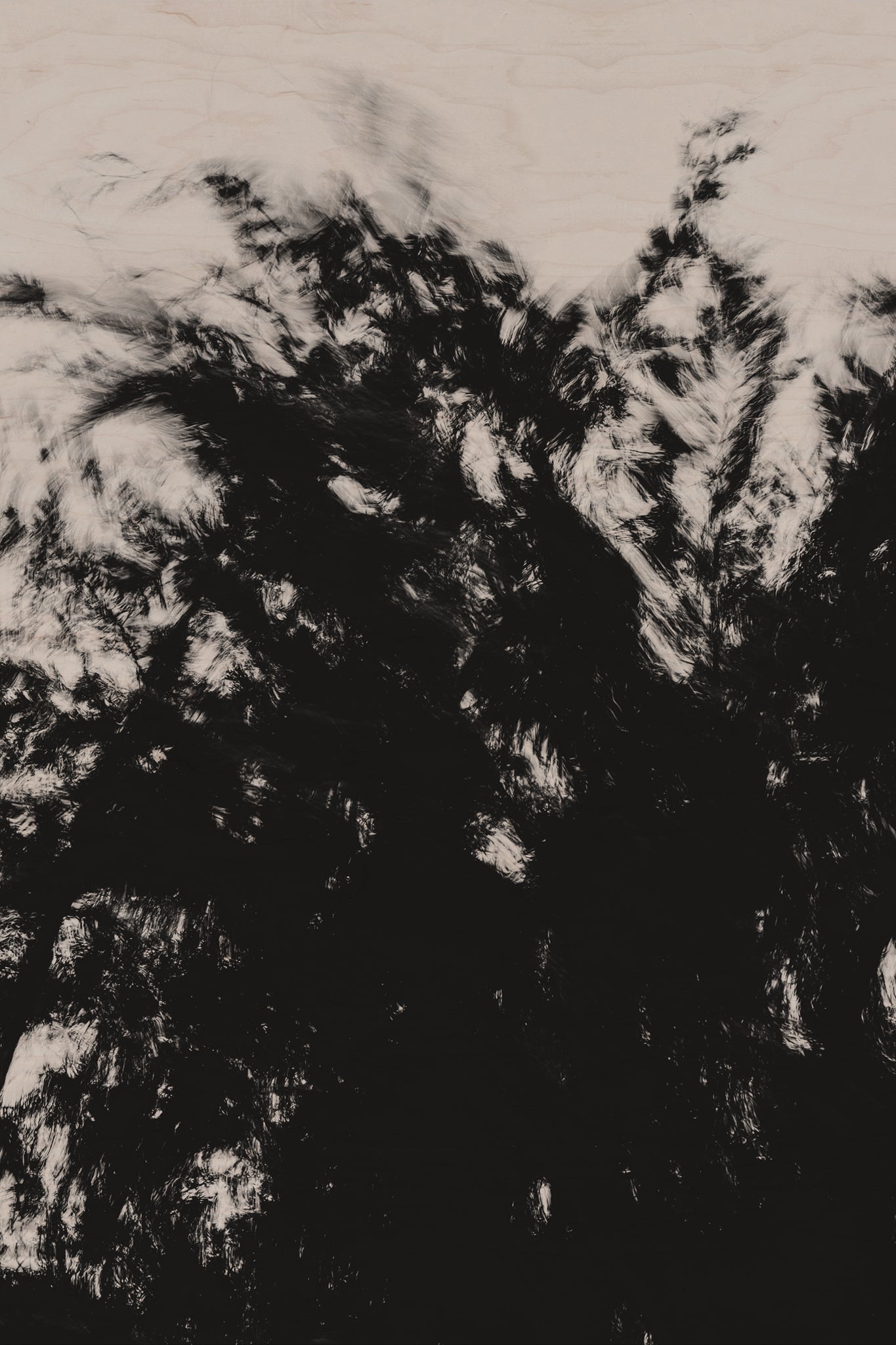 Pulse and Impression, 2022-01-15-0879