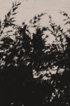Pulse and Impression, 2022-01-15-0884