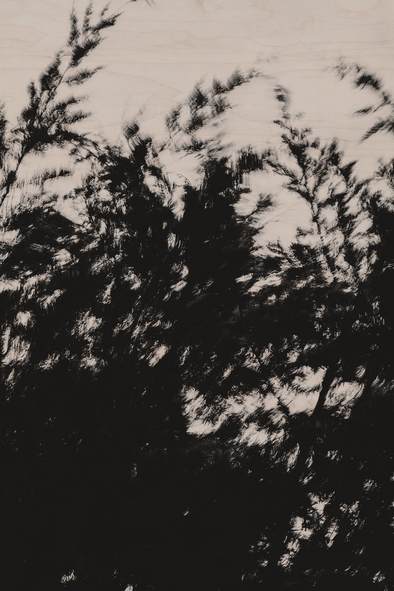 Pulse and Impression, 2022-01-15-0884