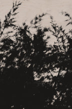 Pulse and Impression, 2022-01-15-0884