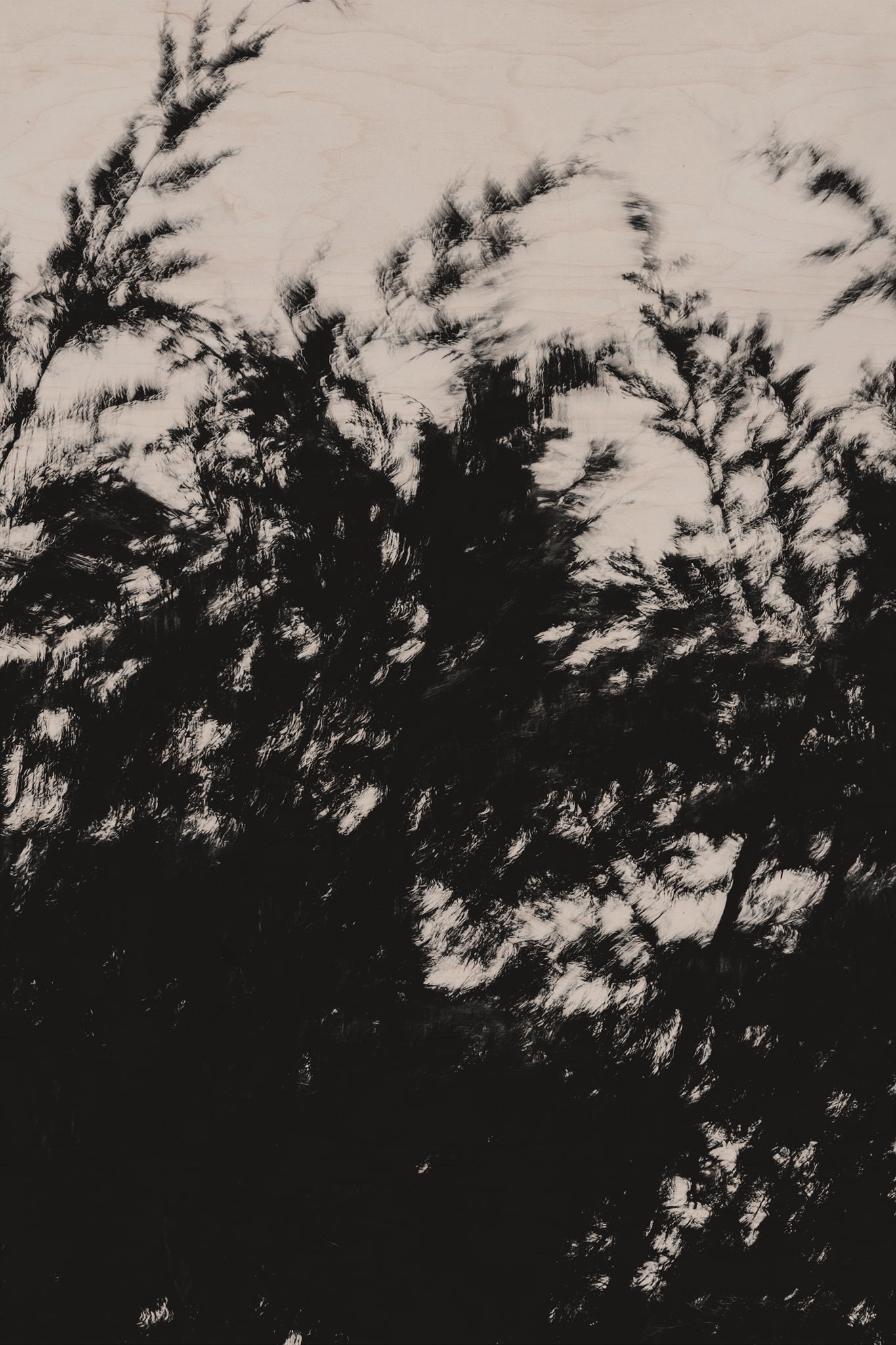 Pulse and Impression, 2022-01-15-0884