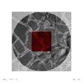 Recapture 1.1, No. 10