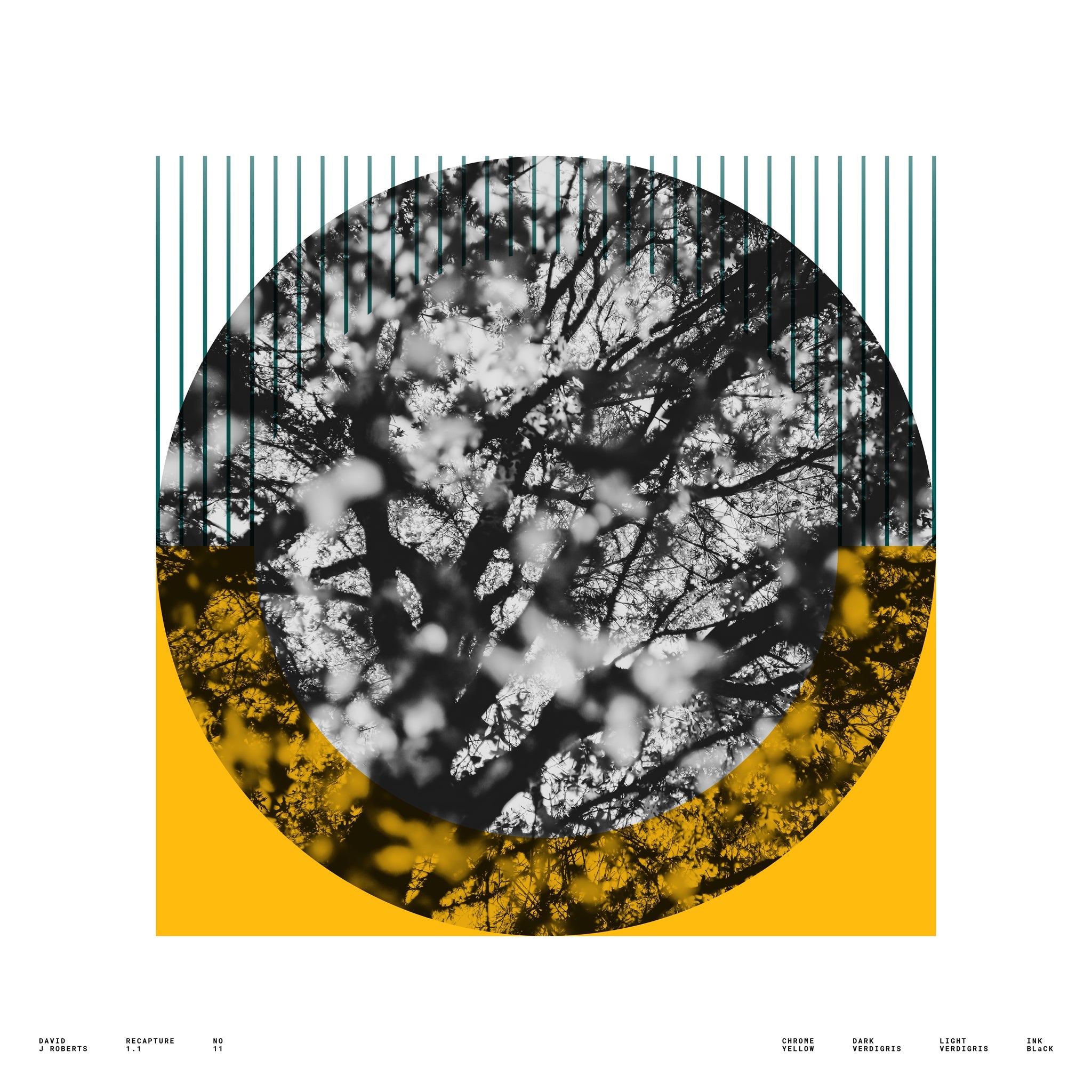 Recapture 1.1, No. 11