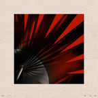 Recapture 1.1, No. 13