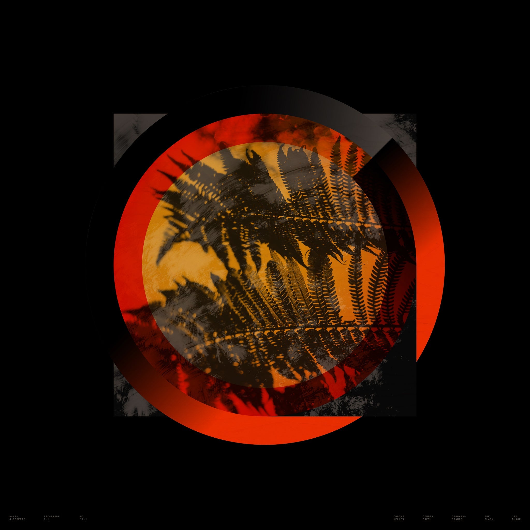 Recapture 1.1, No. 17.1