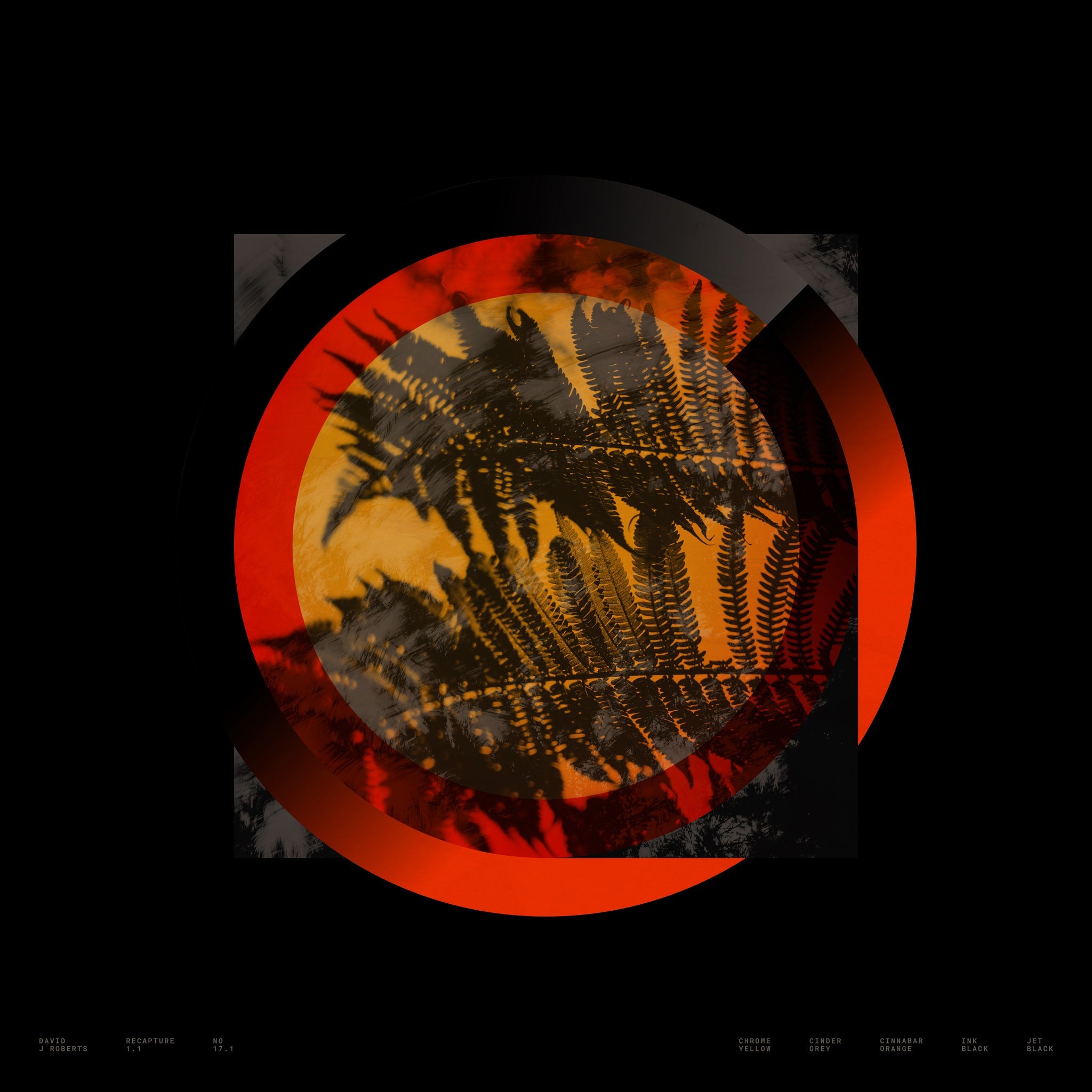 Recapture 1.1, No. 17.1