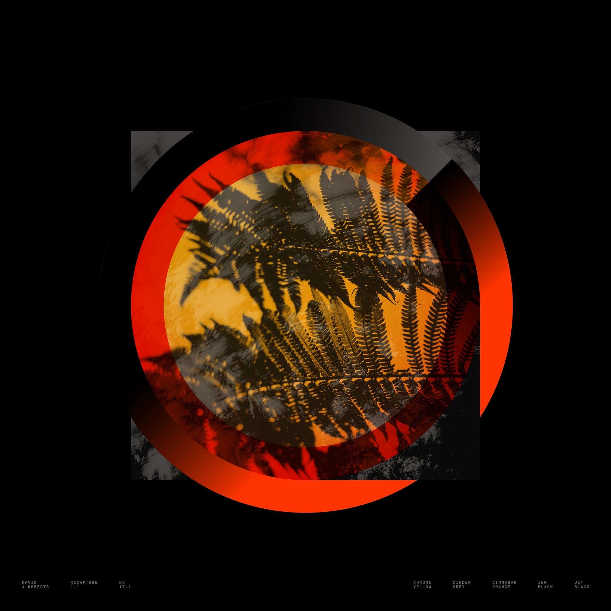 Recapture 1.1, No. 17.1