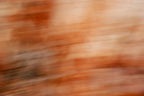 Static and Motion, 2007-11-10-0032