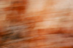 Static and Motion, 2007-11-10-0032