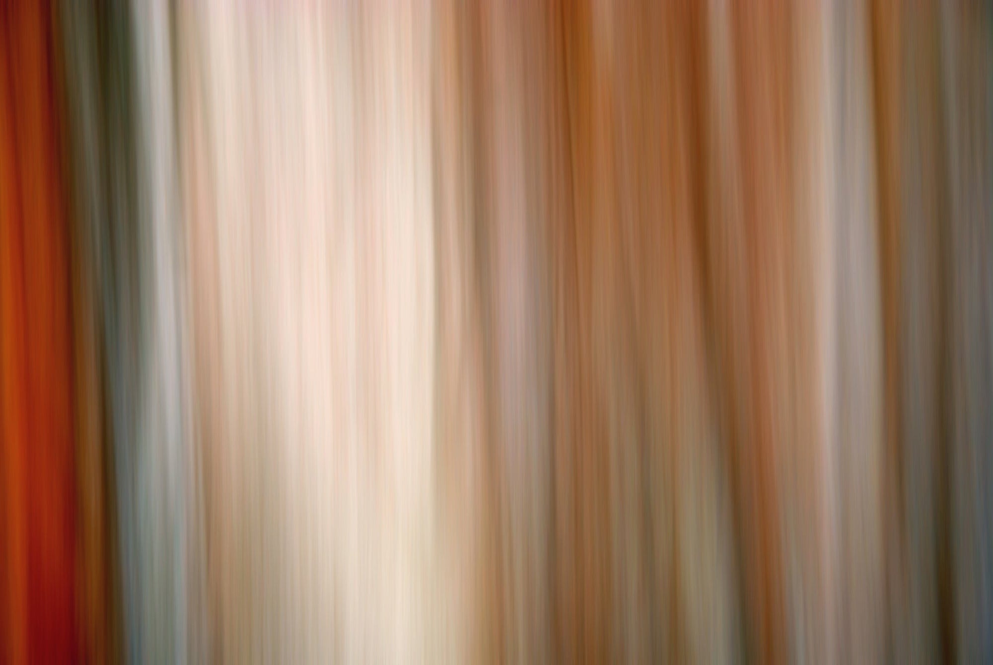 Static and Motion, 2007-11-10-0061