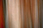 Static and Motion, 2007-11-10-0061