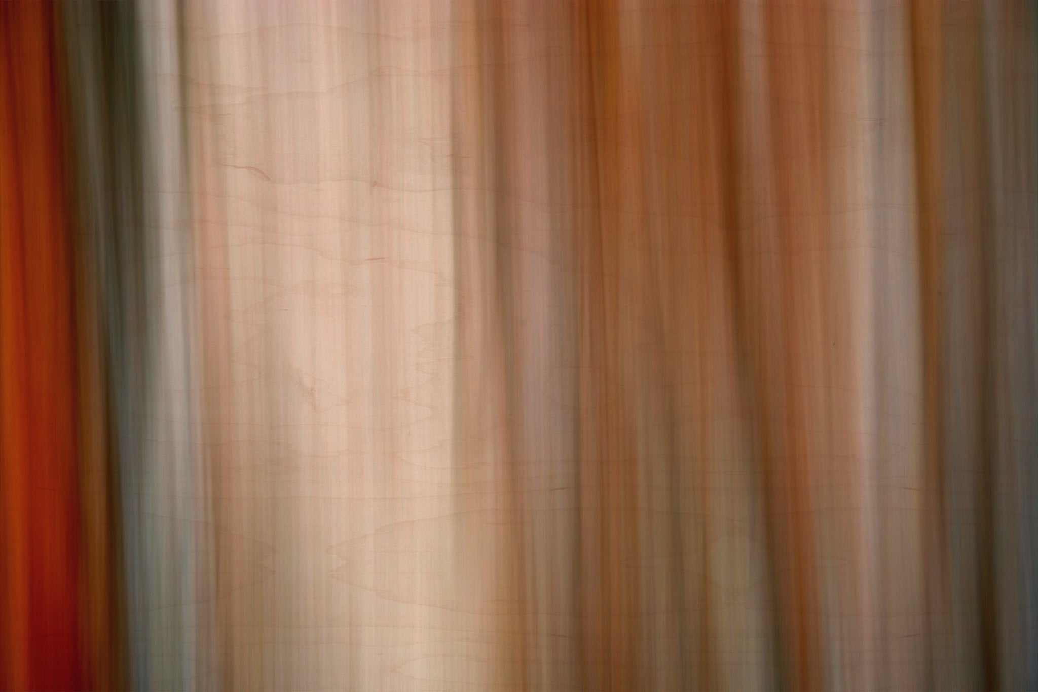 Static and Motion, 2007-11-10-0061