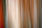 Static and Motion, 2007-11-10-0061