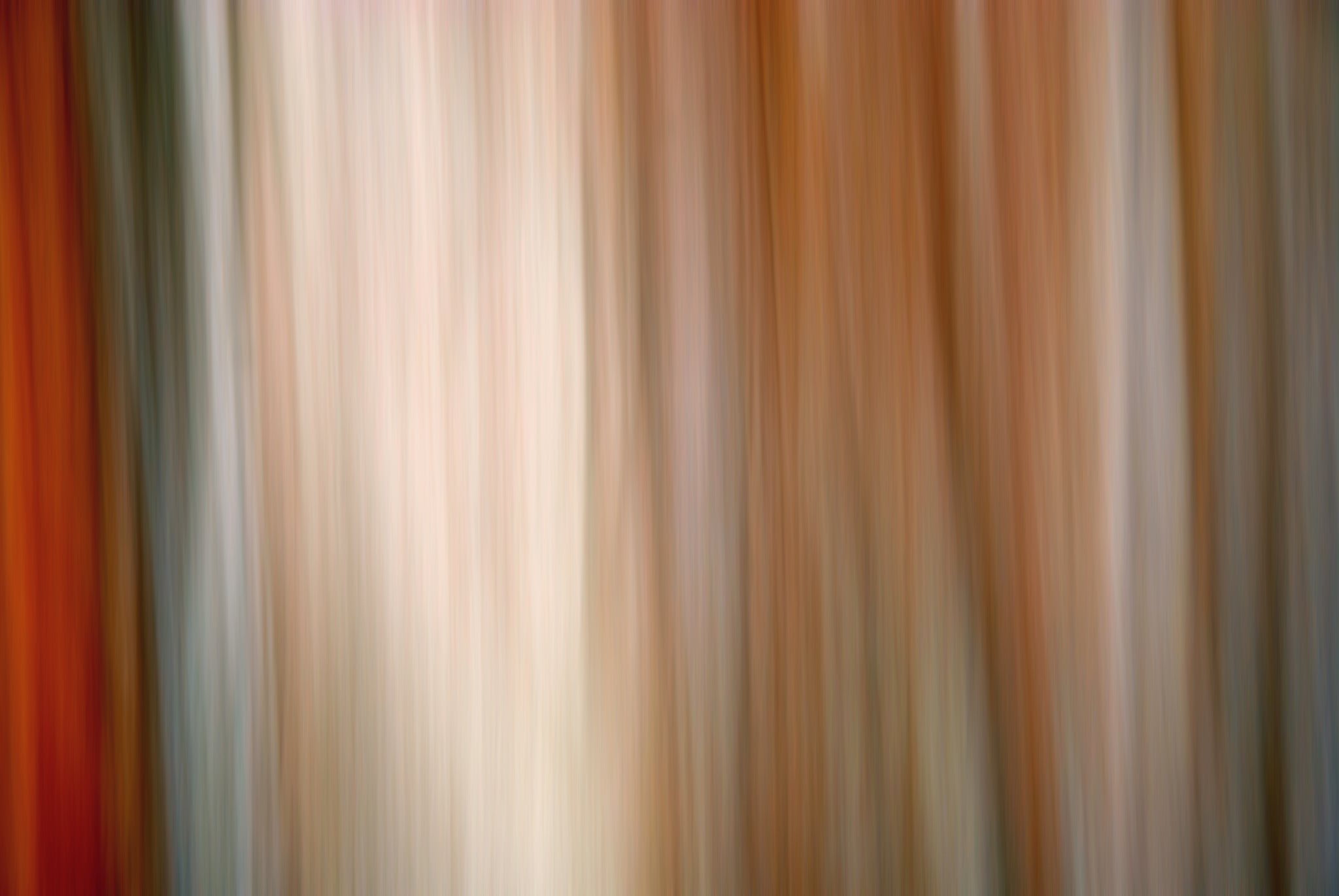 Static and Motion, 2007-11-10-0061