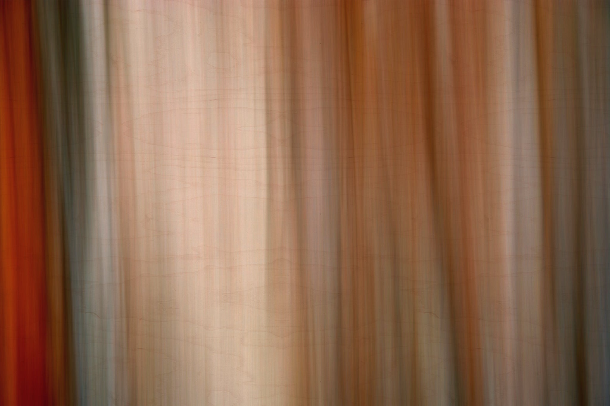 Static and Motion, 2007-11-10-0061
