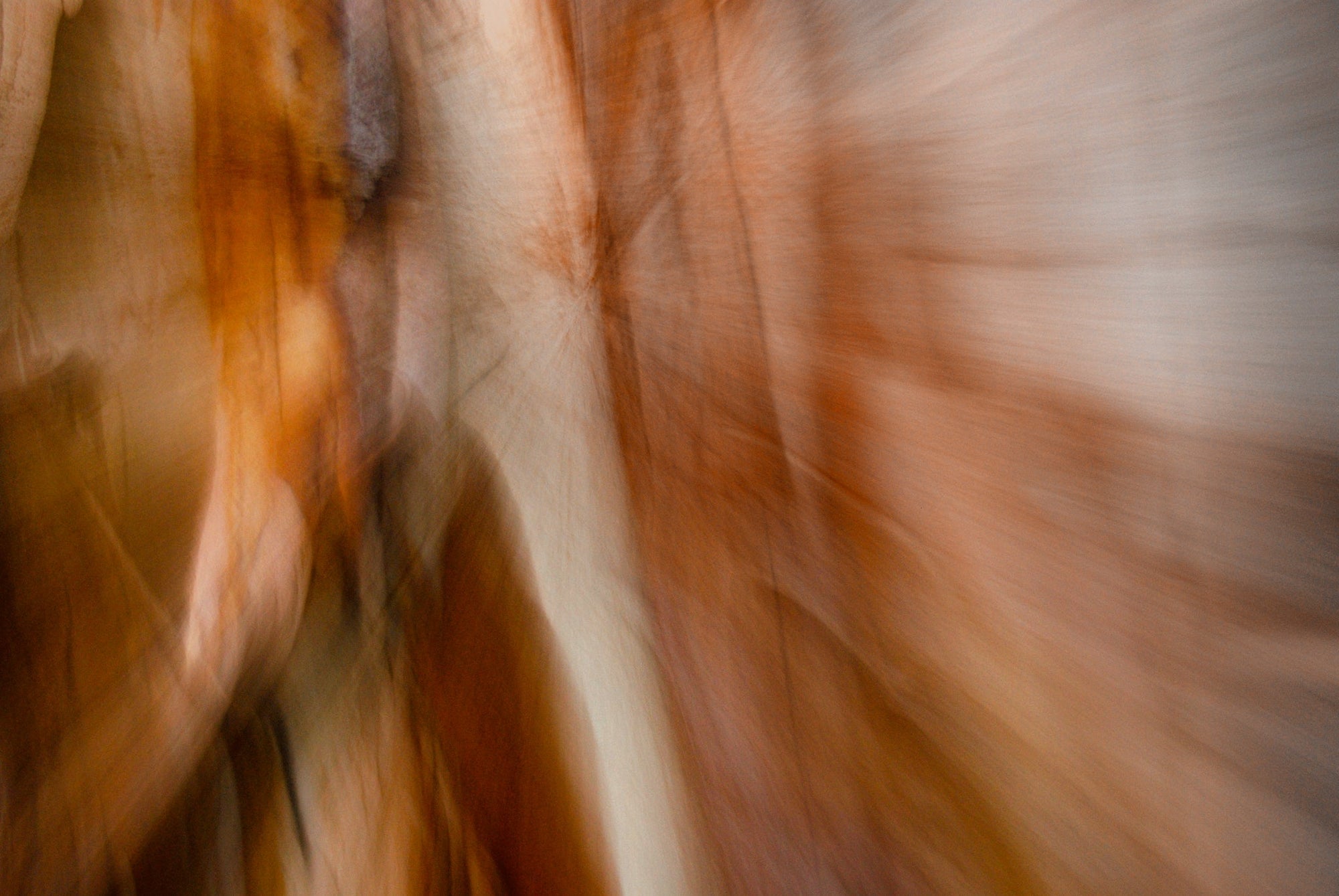 Static and Motion, 2007-11-10-0067