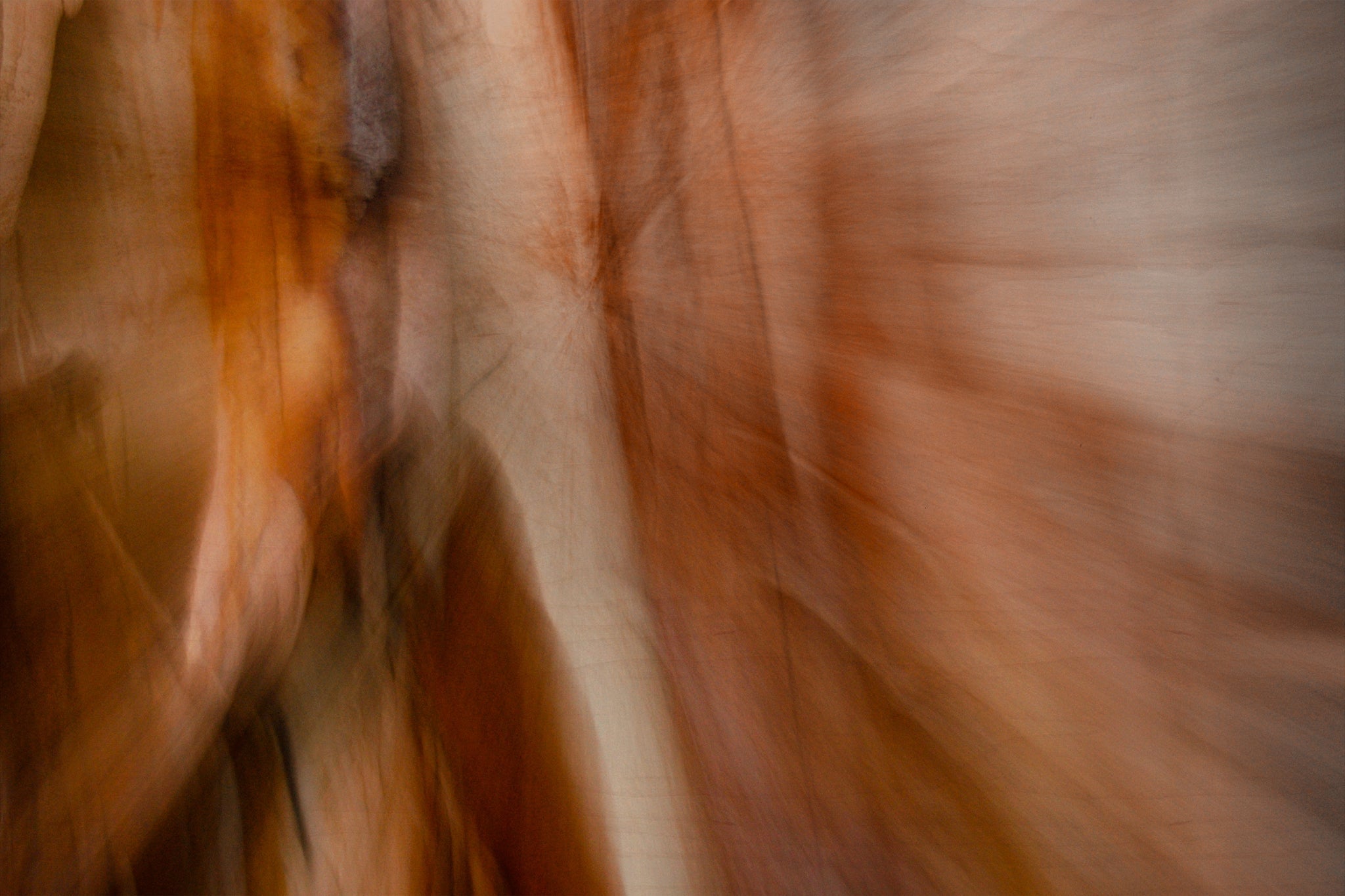 Static and Motion, 2007-11-10-0067