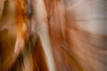 Static and Motion, 2007-11-10-0067