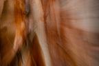 Static and Motion, 2007-11-10-0067