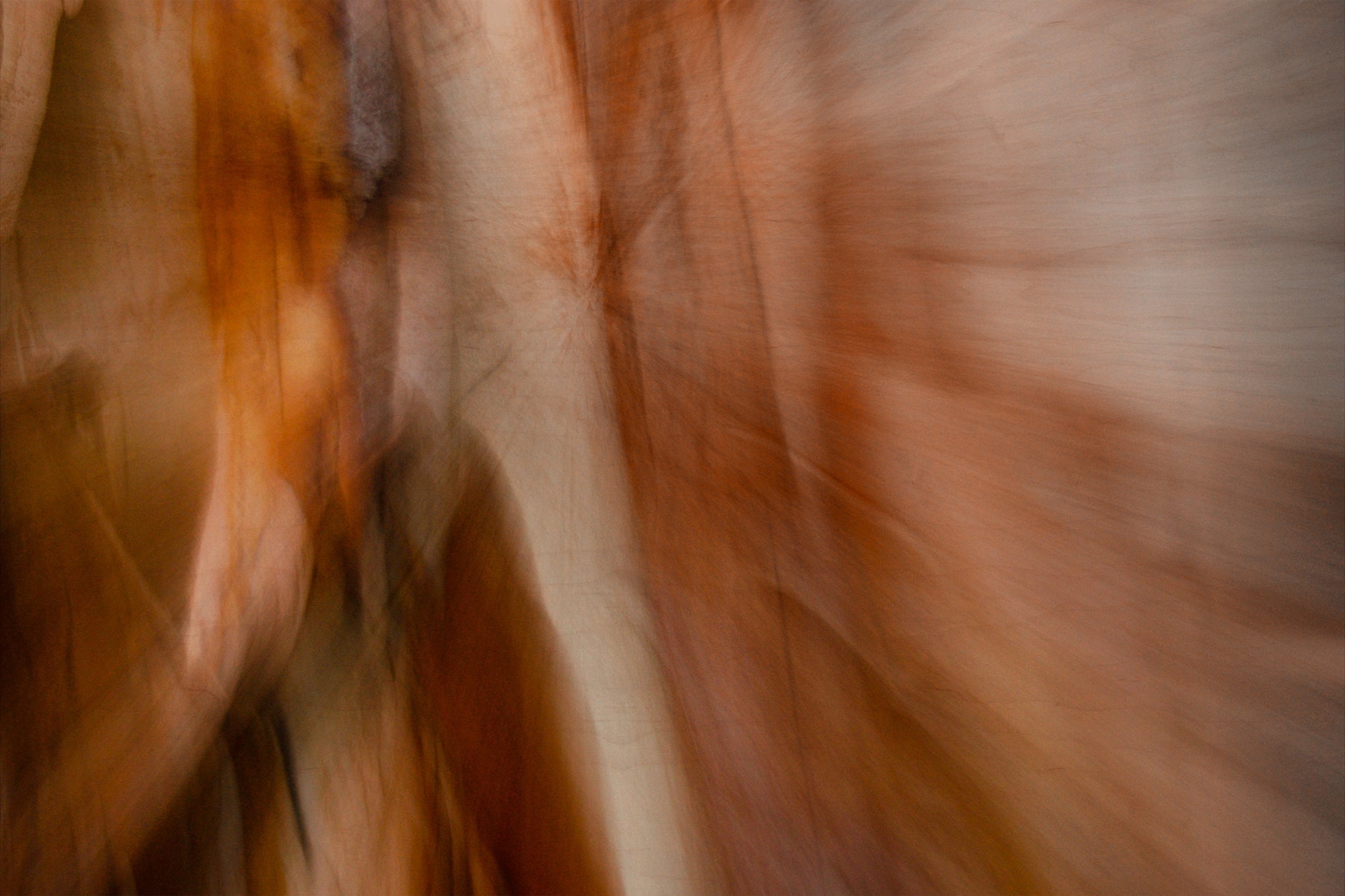 Static and Motion, 2007-11-10-0067