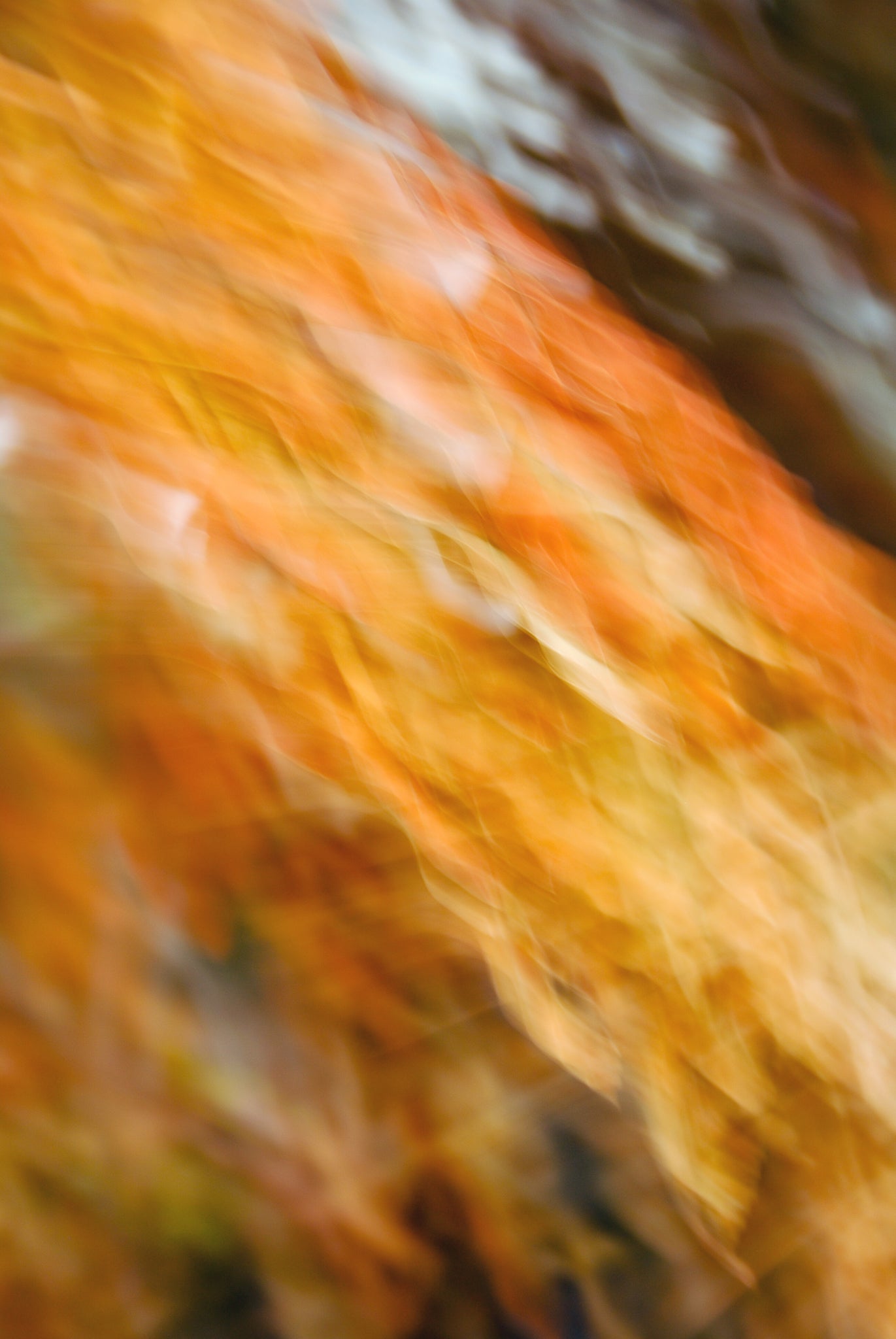 Static and Motion, 2007-11-11-0216