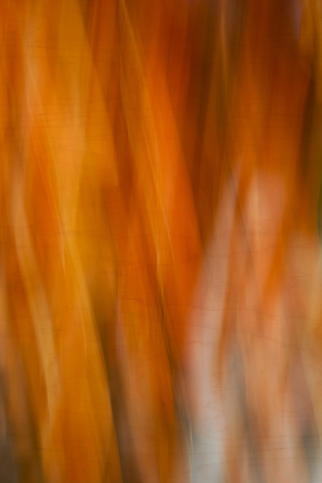 Static and Motion, 2007-11-11-0221