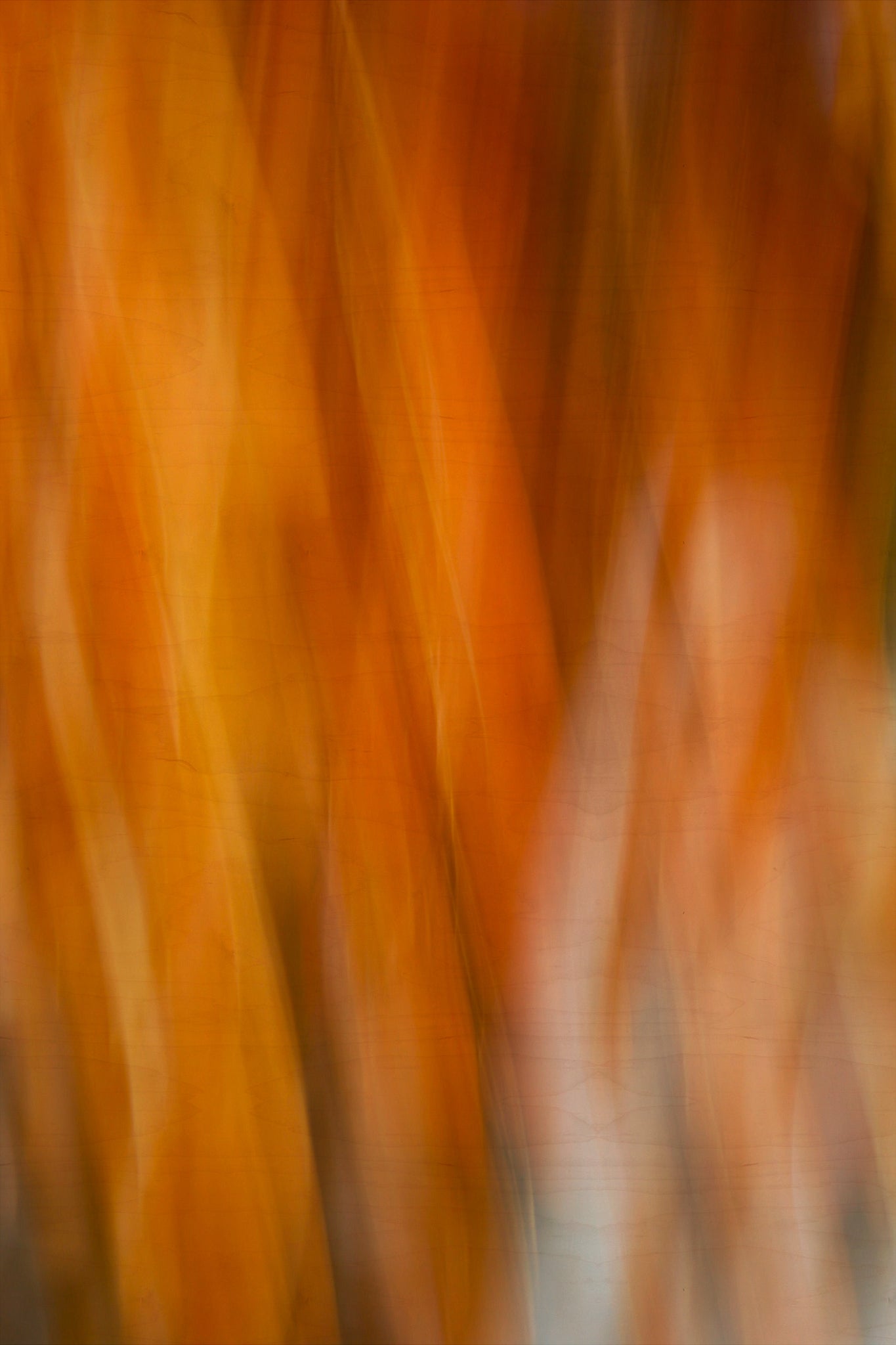 Static and Motion, 2007-11-11-0221