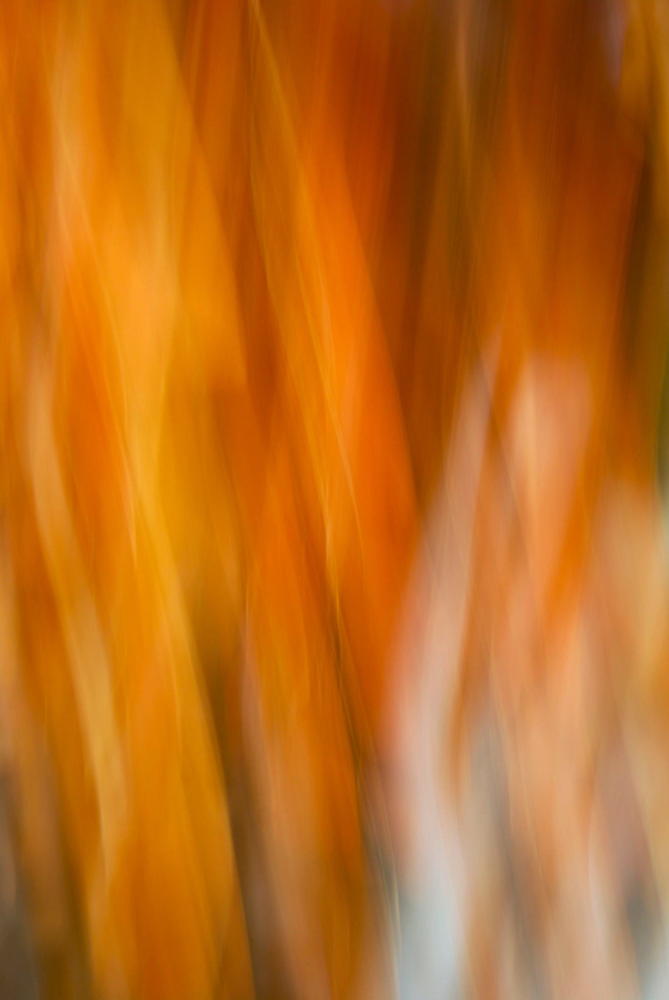 Static and Motion, 2007-11-11-0221