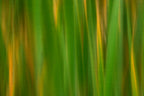 Static and Motion, 2007-11-17-0139