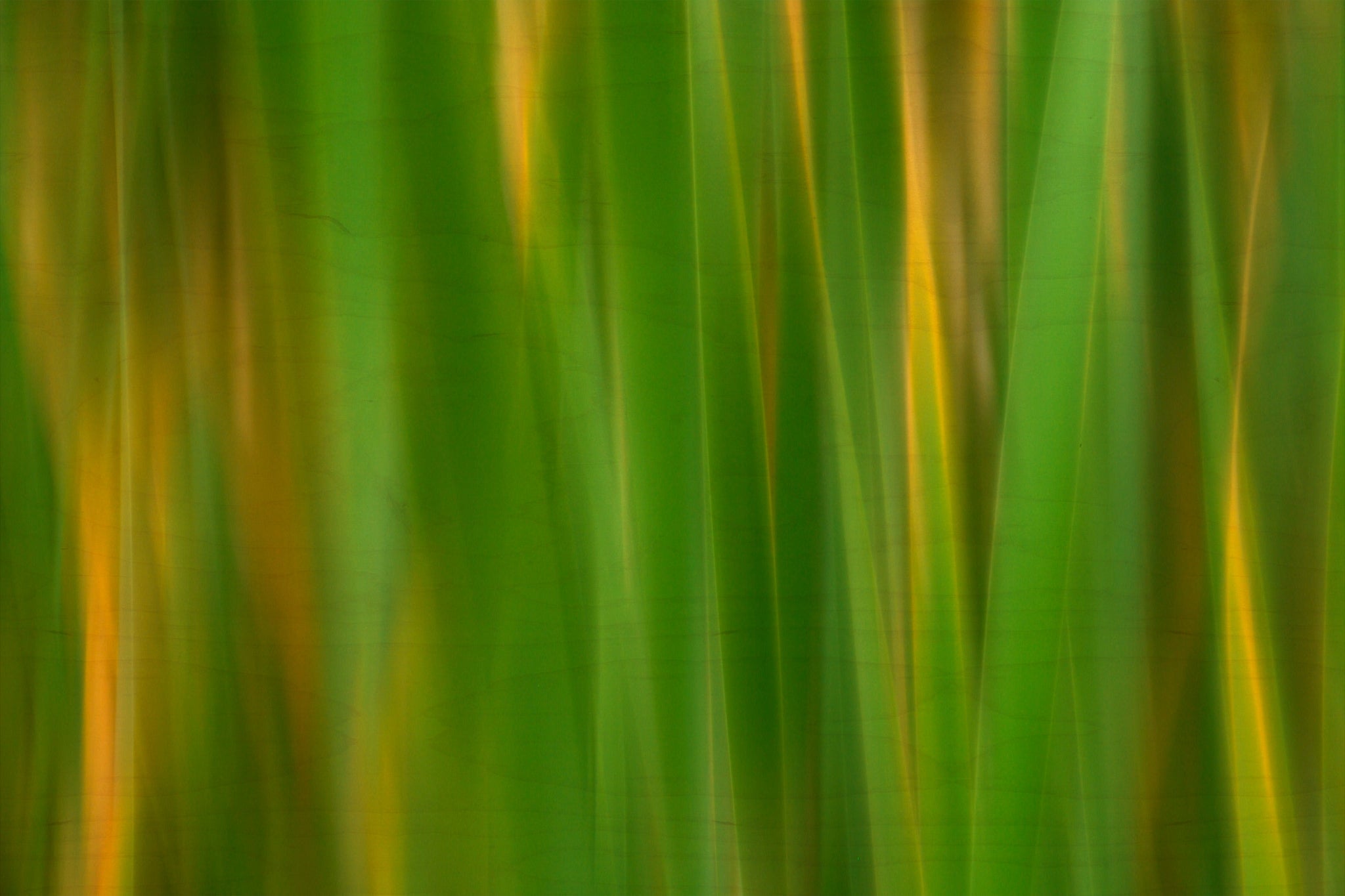 Static and Motion, 2007-11-17-0139