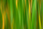 Static and Motion, 2007-11-17-0139
