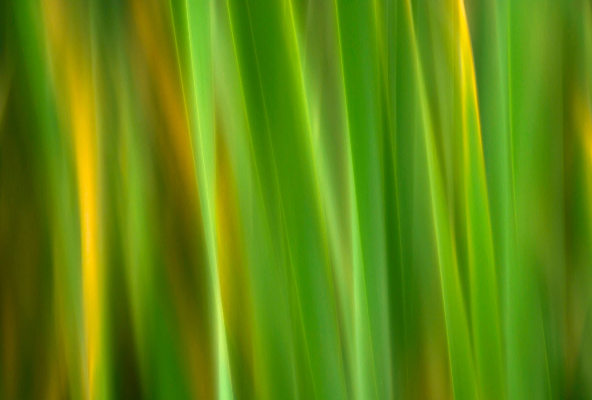 Static and Motion, 2007-11-17-0140