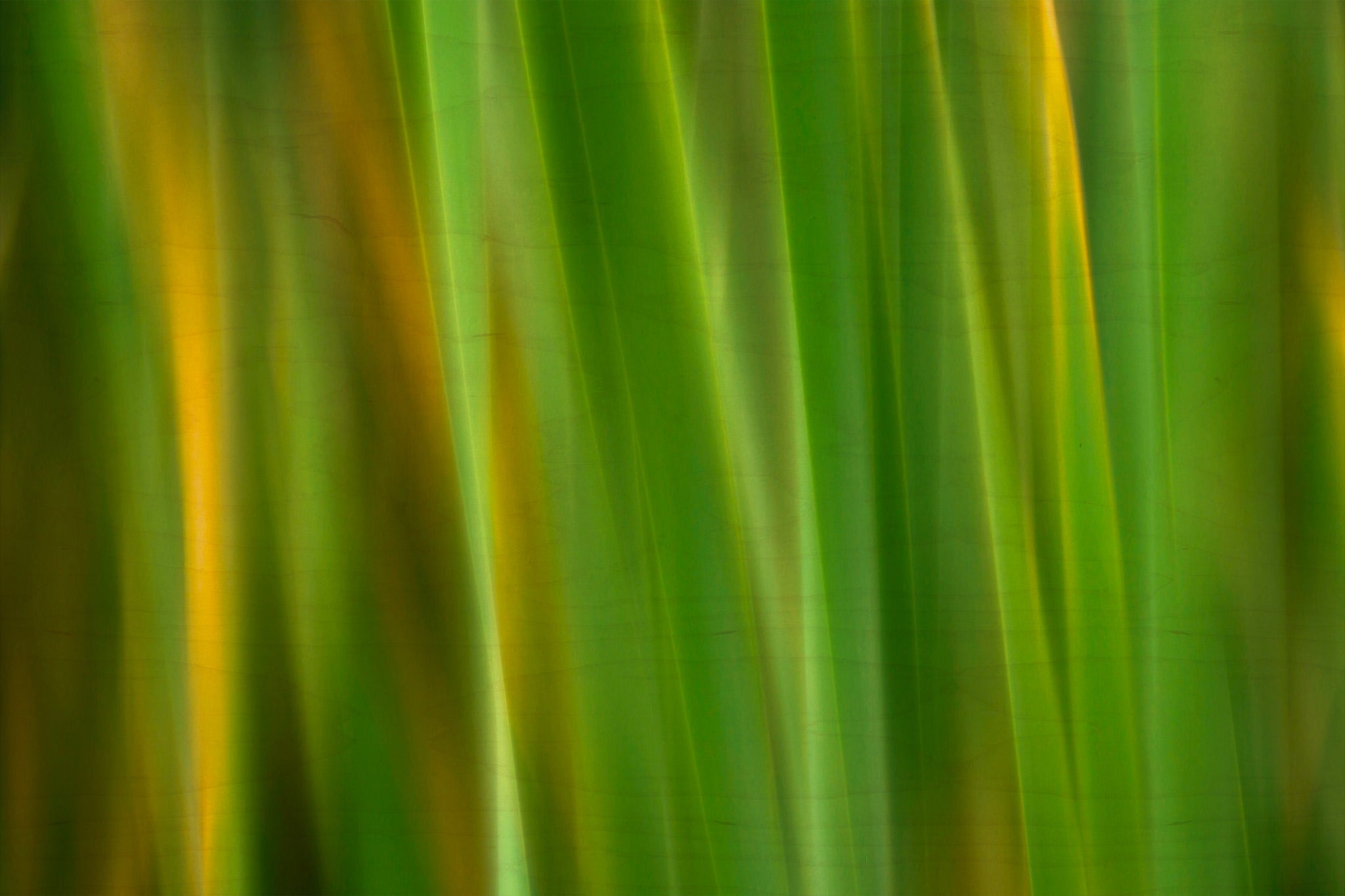 Static and Motion, 2007-11-17-0140