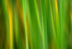 Static and Motion, 2007-11-17-0140