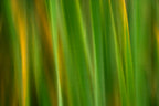 Static and Motion, 2007-11-17-0140
