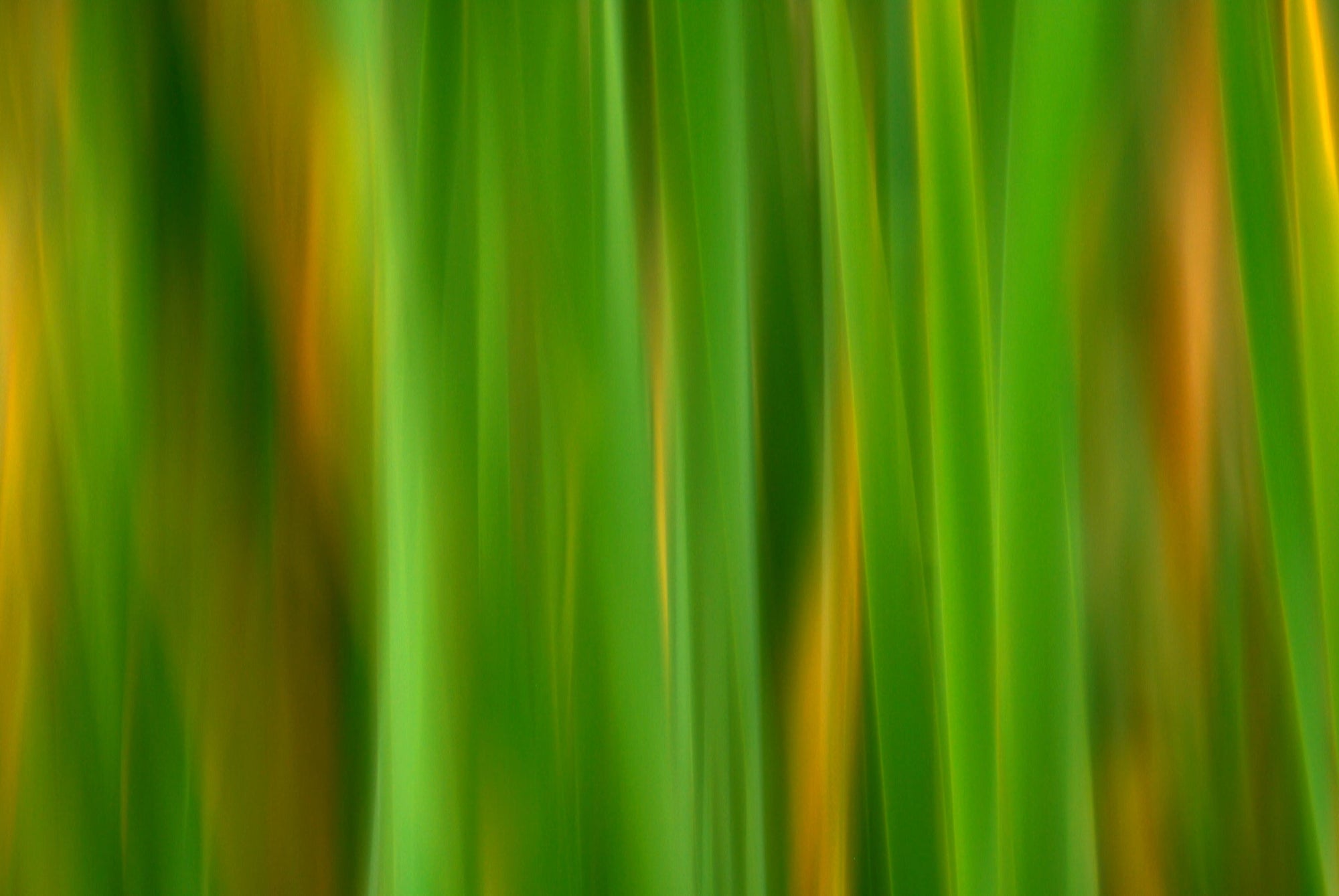 Static and Motion, 2007-11-17-0141