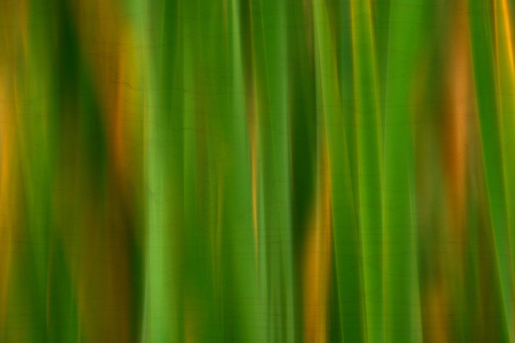 Static and Motion, 2007-11-17-0141