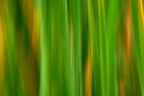 Static and Motion, 2007-11-17-0141