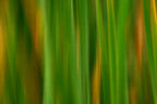 Static and Motion, 2007-11-17-0141