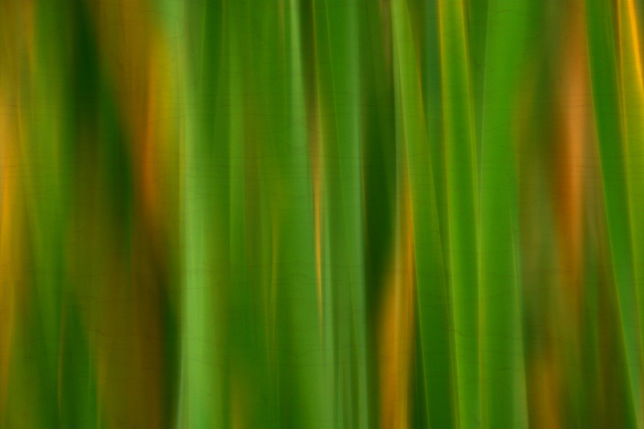 Static and Motion, 2007-11-17-0141
