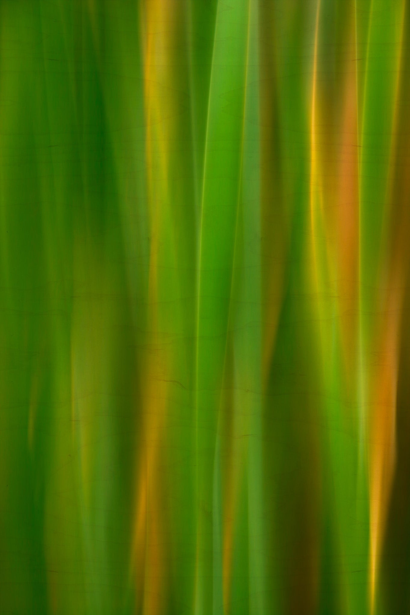 Static and Motion, 2007-11-17-0142