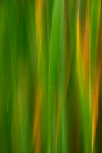 Static and Motion, 2007-11-17-0142